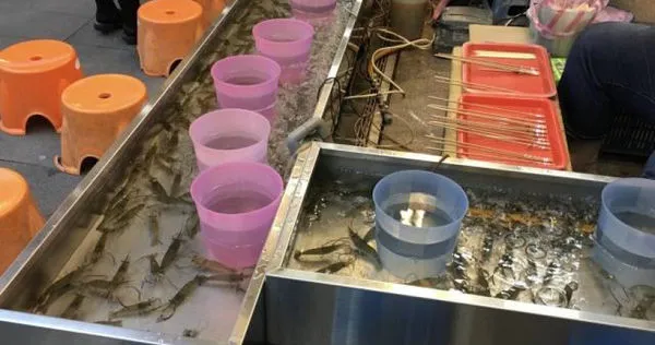 女網友和男友去釣蝦場吃宵夜,卻遇到陌生孩子來蹭飯。(示意圖/翻攝自photoAC)