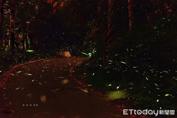 ▲竹山鎮公所邀請民眾於4至6月賞螢季遊竹山兼品嚐美食。(圖/竹山鎮公所提供,下同)