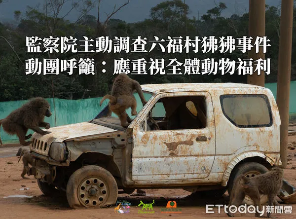 ▲動團呼籲監委全面清查六福村動物福祉。(圖/台灣動物平權促進會提供)