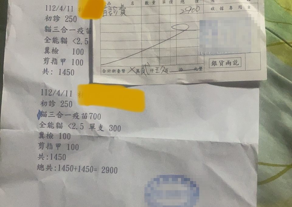 ▲▼北市童「當街擄走寵物貓」 飼主焦急上門卻找無:台灣最噁的是人。(圖/翻攝自爆料公社)