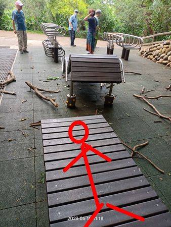 ▲男子樹下仰臥起坐 手臂粗樹枝被風吹斷險成凶器。(圖/翻攝新竹大小事)