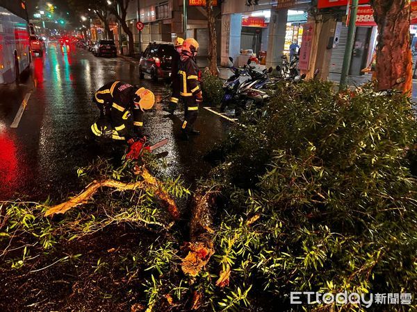 ▲▼北市重慶北路1段路樹倒塌，壓到停放路邊機車。（圖／記者邱中岳翻攝）
