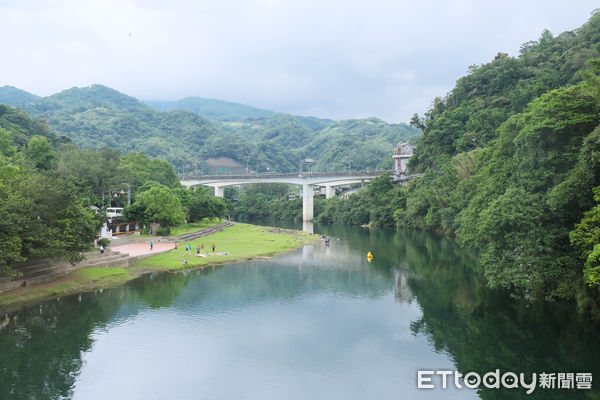 ▲坪林,坪林親水公園,鷺鷥,。（圖／記者彭懷玉攝）