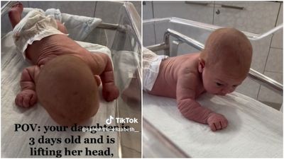 寶寶出生2天半「趴床掙扎抬頭」　媽媽嚇問正常嗎？網驚：不同品種