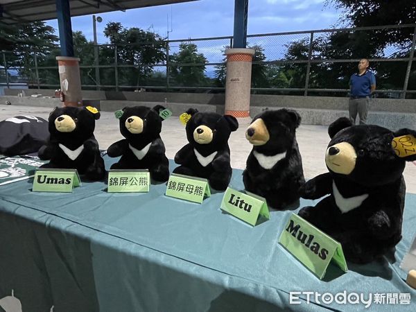 ▲林務局致贈台灣黑熊生態服務給付錦屏部落族人。（圖／記者楊漢聲翻攝）