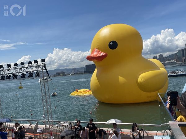 ▲香港「黃色小鴨」正式登場首日便傳出其中一隻疑似「漏氣」變成鴨皮漂在水面上。（圖／香港01）