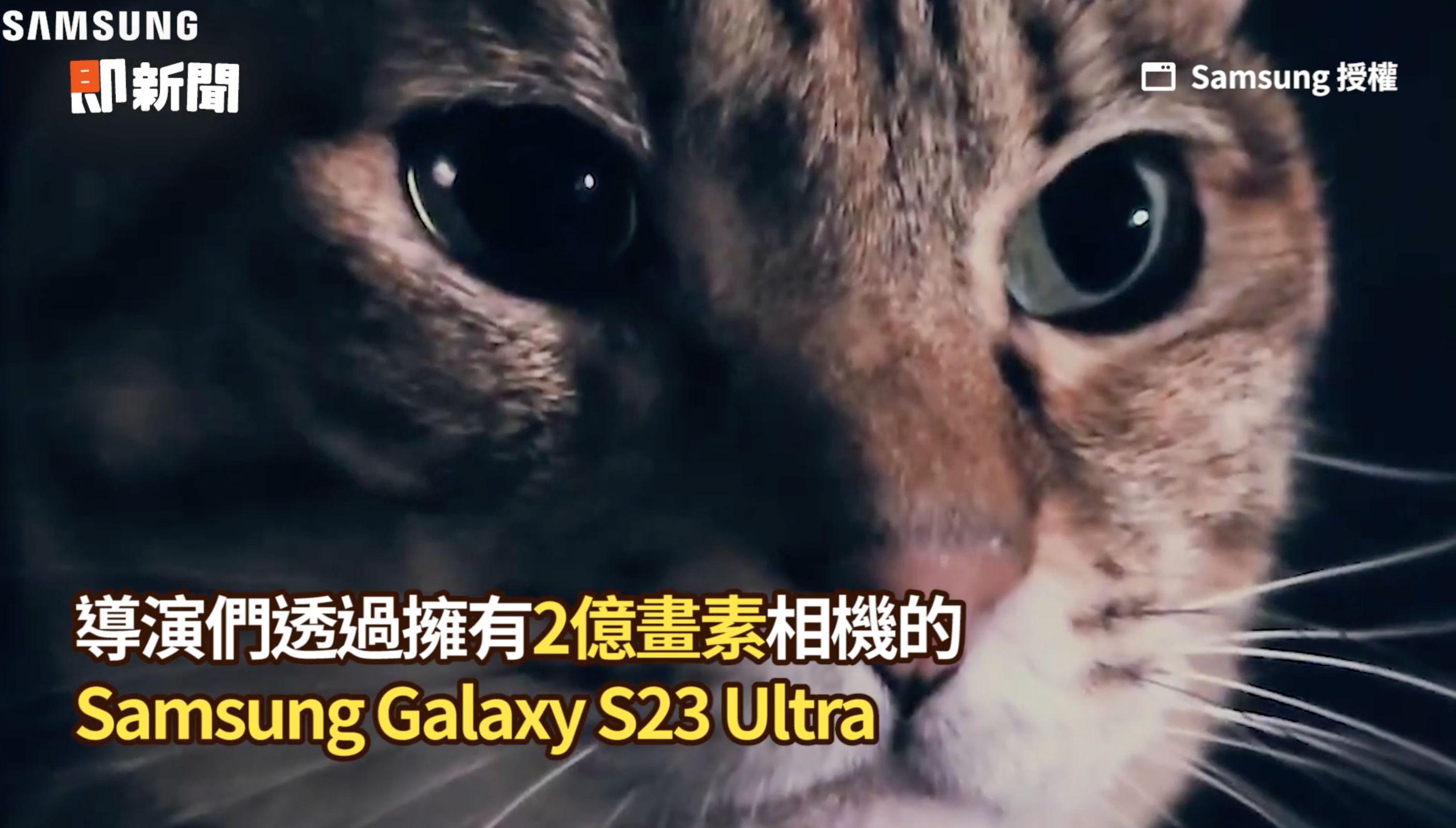 ▲▼Samsung,Galaxy S23 Ultra,毛孩。（圖／取自影片）