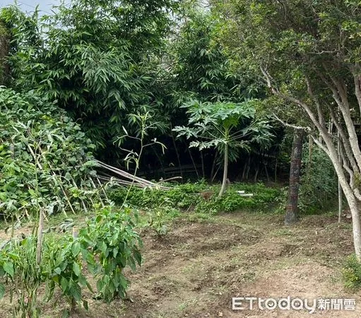 ▲▼ 。(圖/民眾提供)