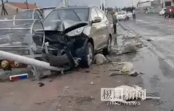 ▲▼駕駛開雨刷分心 越野車撞入羊群「20隻羊慘死」。(圖/翻攝極目新聞)