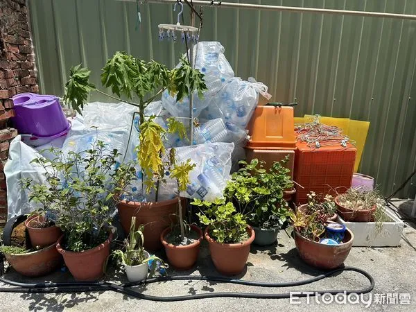 ▲▼高雄登革熱 。(圖/記者陳宏瑞攝)