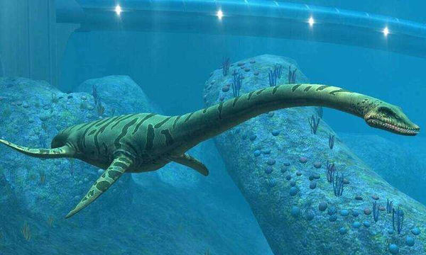 薄板龍生存於白堊紀晚期，是一種與恐龍同時代的海洋爬行動物。（圖／翻攝自維基百科）