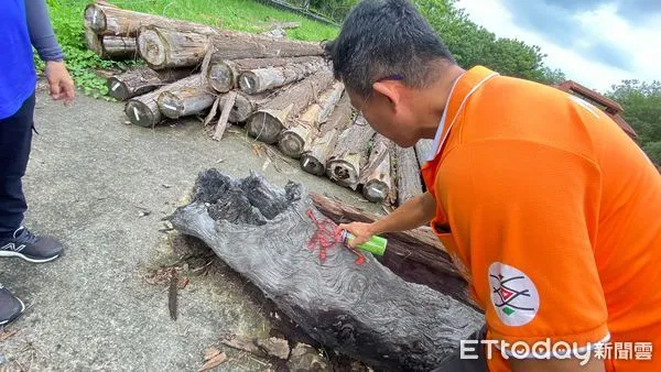 ▲屏東林區管理處提供國產材漂流木紫檀木等木材,在新來義石板屋進行創作 。(圖/記者陳崑福翻攝)