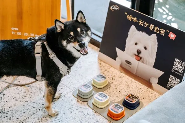 西莎攜手全台4間寵物友善餐廳推出「狗寶貝來點餐」活動(圖/西莎提供)