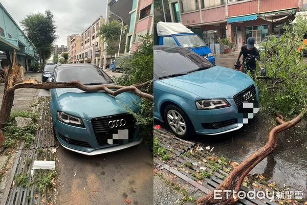 ▲▼ 。(圖/十甲里長林昑照提供)