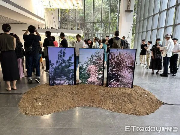 ▲▼北師美術館「酷共生」展覽在7月22日~9月17日展出,探索人類如何與其他生命展開相互依存的共生練習。(圖/記者林育綾攝)