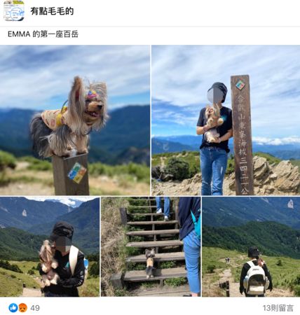 一名飼主帶寵物犬登合歡山，被網友提醒是違法行為趕緊刪文。（翻攝自有點毛毛的臉書）