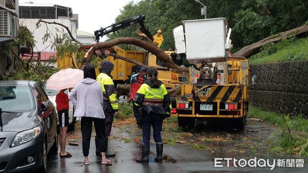 ▲台東路樹倒塌。(圖/記者楊漢聲翻攝,下同)