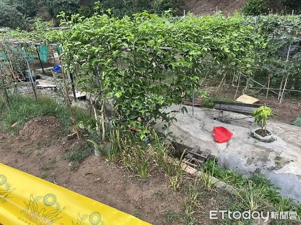 ▲▼淡水男趴水溝亡 。(圖/記者戴上容翻攝)