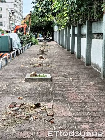 ▲彰化崇實高工行道樹被斷頭。(圖/記者唐詠絮攝)