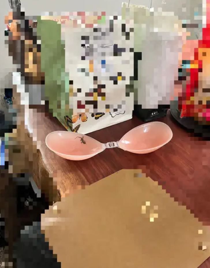 ▲▼。(圖/翻攝自Dcard)