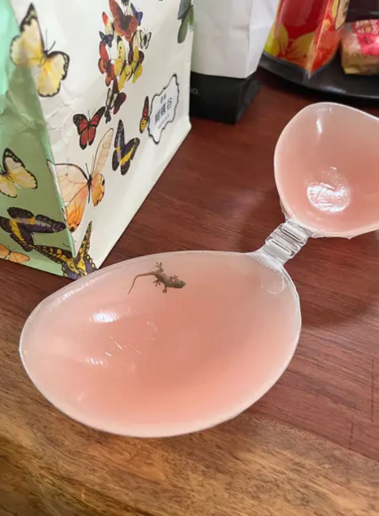 ▲▼。(圖/翻攝自Dcard)