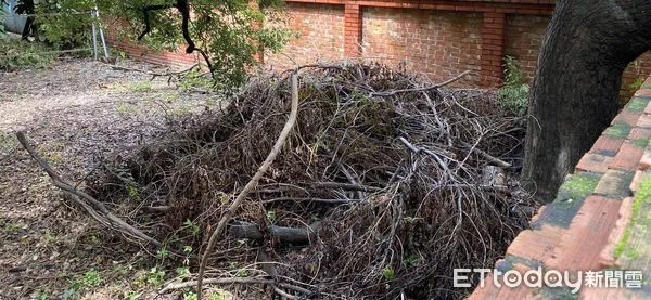 ▲國產署屏東市出租地髒亂情況 。(圖/記者陳崑福翻攝)