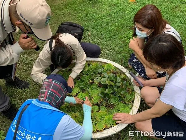 ▲▼新竹縣登革熱。(圖/新竹縣政府提供)