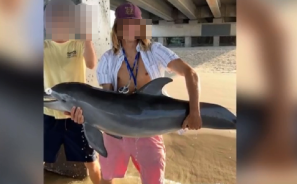 「海中抱起小海豚合照」幾天後發現海豚屍　　19歲男收死亡威脅。（圖／翻攝自Instagram）