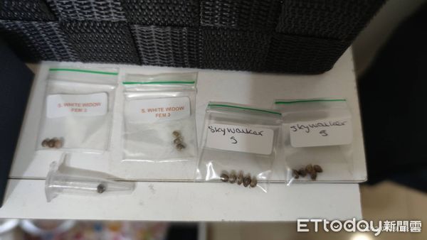 ▲▼1名加拿大籍美語老師來台工作,擔心沒大麻可吸,乾脆自種自用,結果被逮。(圖/民眾提供,下同)