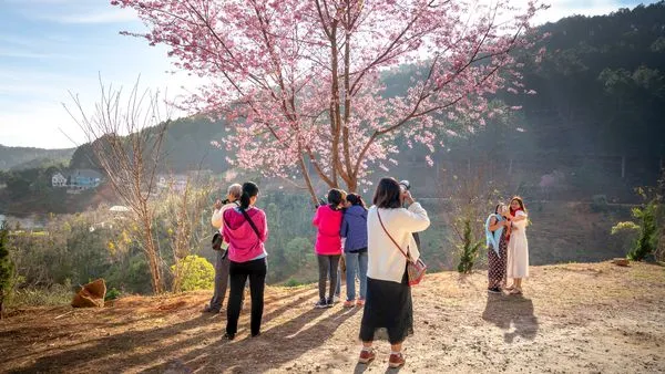 ▲▼出國(圖/取自免費圖庫Pexels)