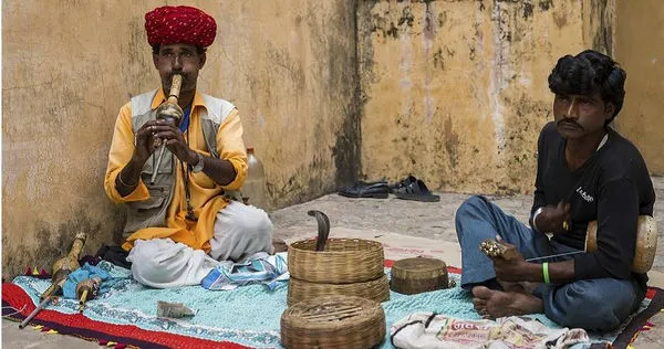印度弄蛇人。(示意圖/達志/美聯社)
