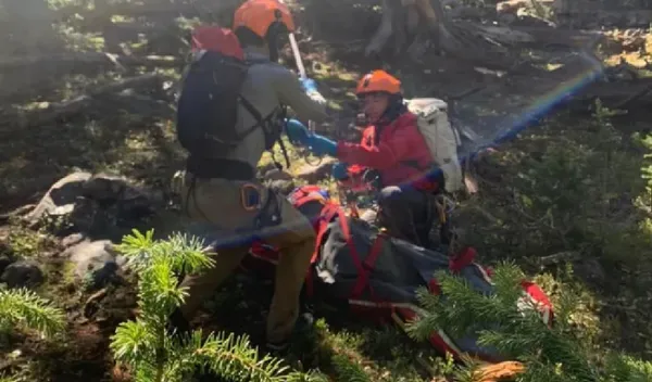森林內遭3公尺高灰熊伏擊 61歲男肉搏野獸「下巴被當場撕裂」。(圖/翻攝自GoFundMe)