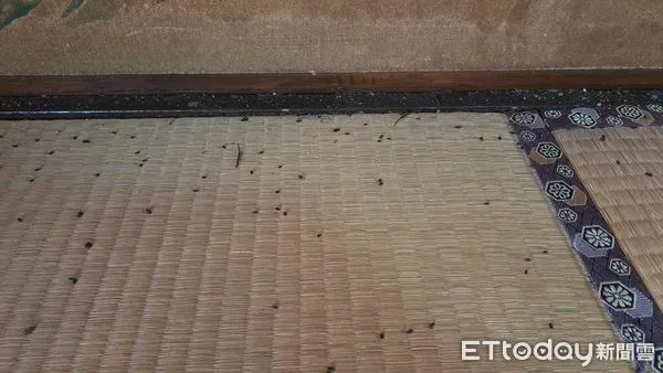 ▲▼國父史蹟館保存狀況不佳,硬體損壞外還滿地老鼠屎。(圖/台北市議員許家蓓研究室提供)