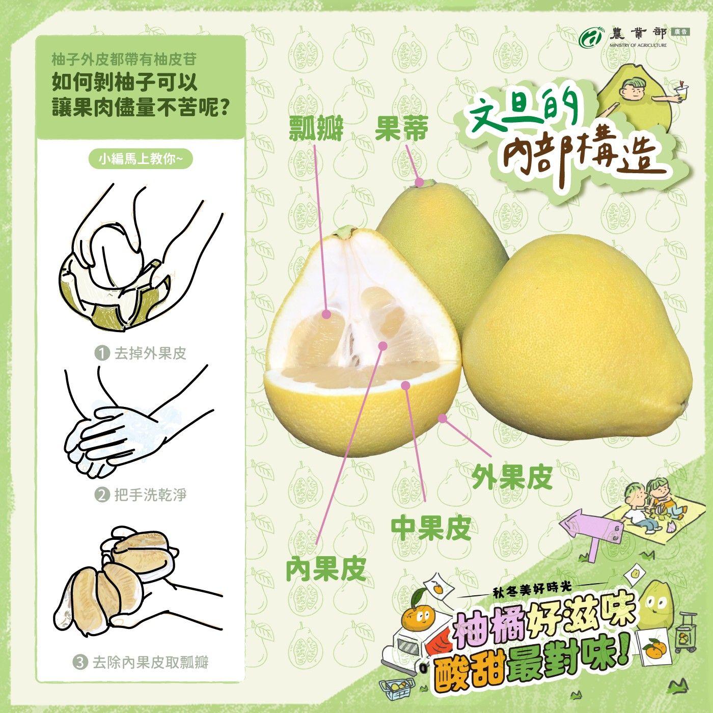 ▲農業部提供剝柚子皮不沾苦味的技巧。（圖／農業部提供）