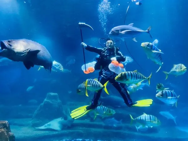 ▲▼觀光遊樂園推出雙十優惠。(圖/觀光署)