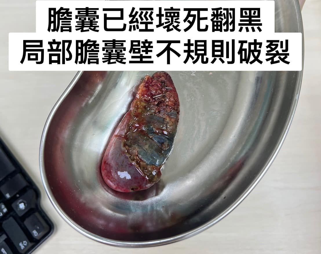 (圖/翻攝林相宏臉書)