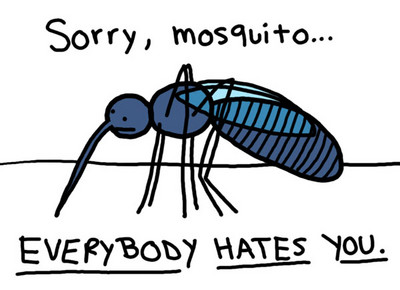 常被蚊蟲叮的人，這10件事一定超有感