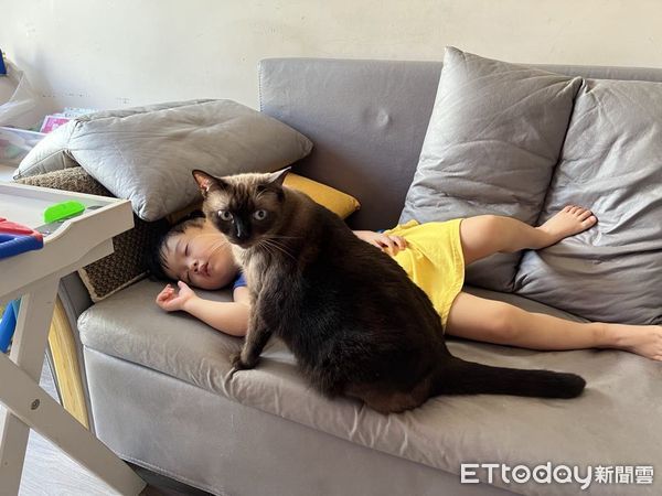 ▲兒子「抱緊巨大貓貓」終於熟睡　阿母鬆了一口氣：哄了很久！（圖／網友Wincy Kwan提供，請勿隨意翻拍，以免侵權。）