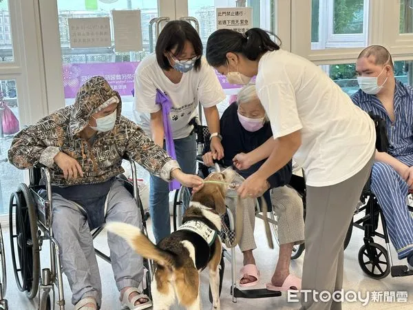 ▲中榮埔里分院附設護理之家辦理「動物輔助治療」活動。(圖/資料照片,台中榮總埔里分院提供)