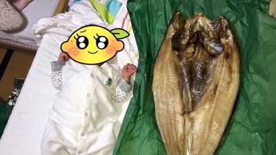 北海道「超巨大魚乾」比寶寶還長　網見對比照驚呼：怎麼烤出來的？