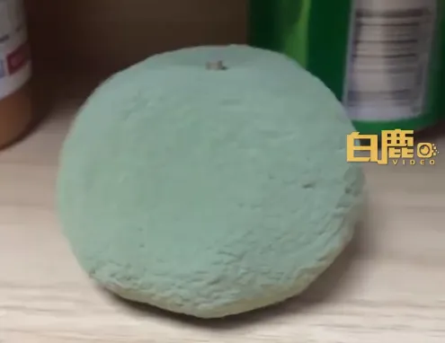 ▲女大生不小心將柑橘放了一週。(圖/翻攝自微博)