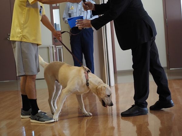 島根旭日社會復歸促進中心受刑人協助照顧導盲犬幼犬。（圖／翻攝自日本導盲犬協會）