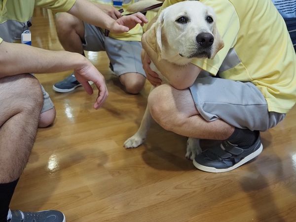 島根旭日社會復歸促進中心受刑人協助照顧導盲犬幼犬。（圖／翻攝自日本導盲犬協會）