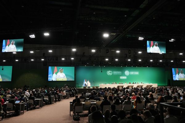 ▲▼來自全球近200個國家、約7萬人參與的史上最大國際氣候會議COP28於11月30日開幕。（圖／達志影像／美聯社）