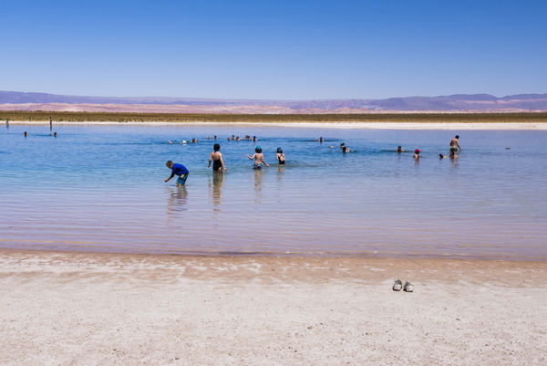 ▲▼智利阿塔卡瑪沙漠（Atacama Desert）塞哈爾鹽湖（Laguna Cejar）（圖／達志影像／美聯社）