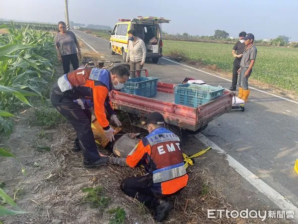 ▲▼黃翁駕駛農用搬運車不慎從車上跌落,當場捲入輪底動彈不得。(圖/記者林東良翻攝)