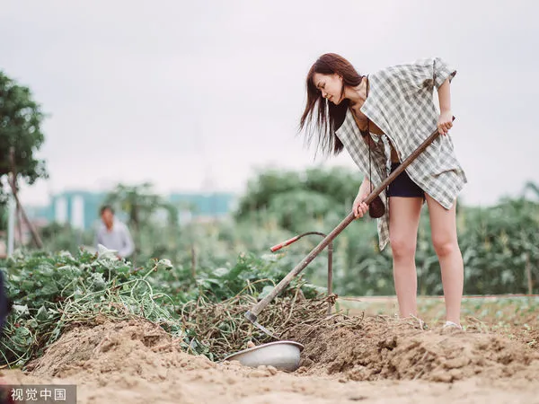 ▲▼女生挖地。(圖/CFP)