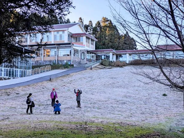 ▲▼ 台中福壽山農場結霜。(圖/福壽山農場提供)