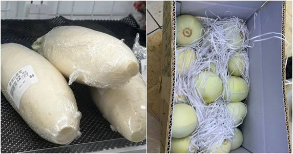 12件蔬果含農藥及禁藥,包括家樂福、美廉社、錢都均中標。(圖/翻攝自台北市衛生局)