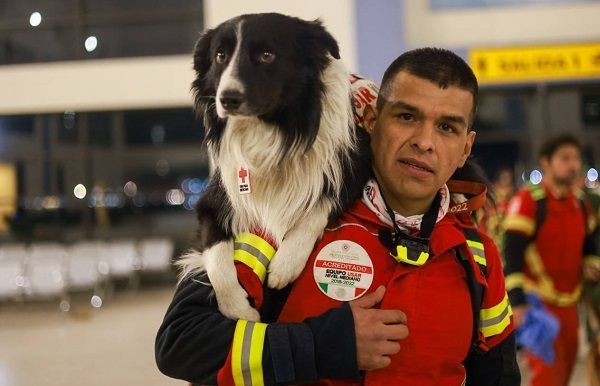 ▲墨西哥派遣16隻搜救犬前往土耳其救災。（圖／翻攝自推特＠m_ebrard）